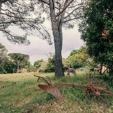 Donkeys And Roses - Casa Dei Nidi