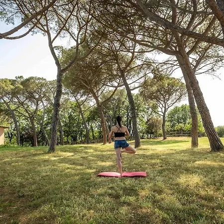 Donkeys And Roses - Casa Dei Nidi Holiday home *