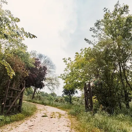 Donkeys And Roses - Casa Dei Nidi